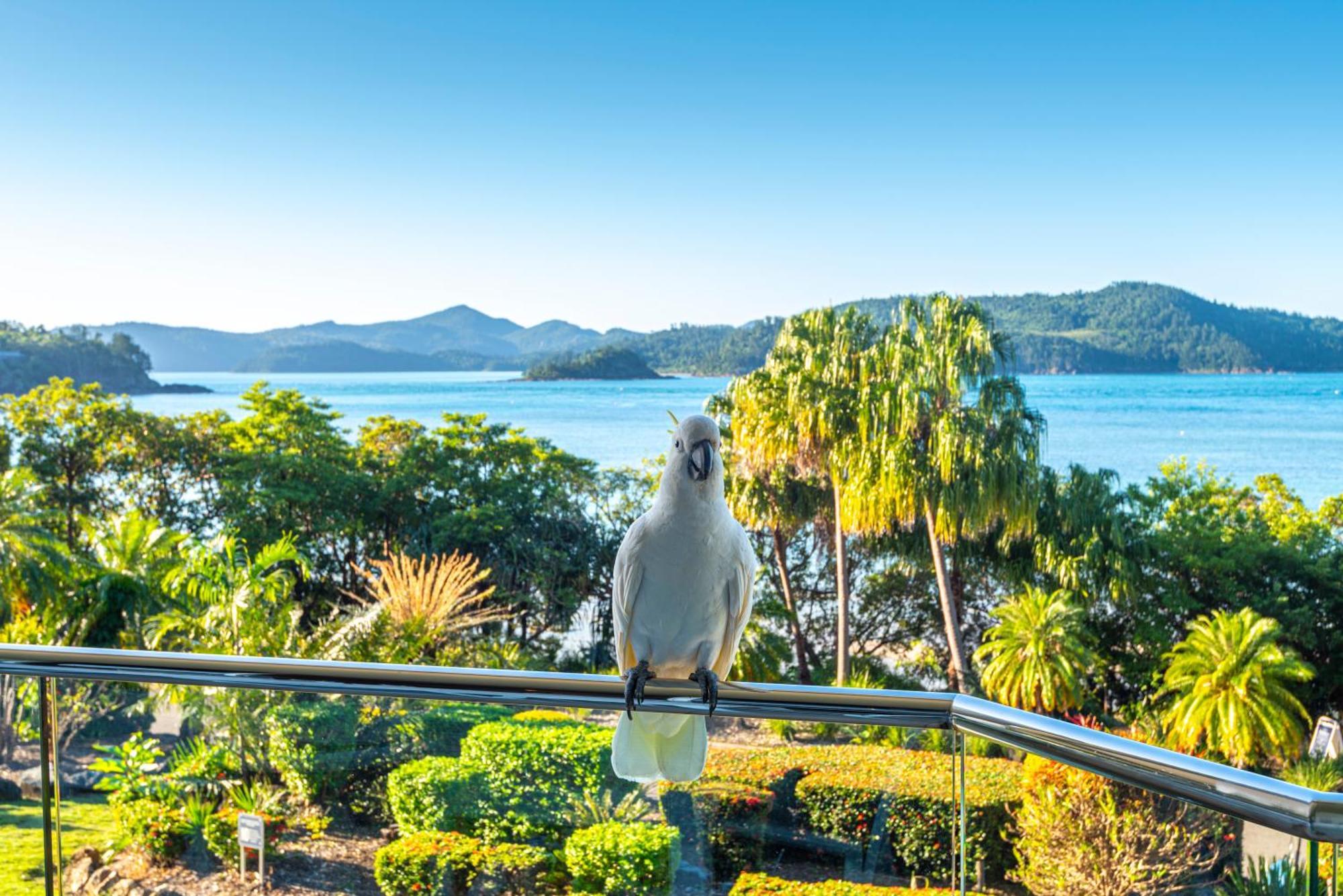 Lagoon Apartments On Hamilton Island By Hiha Екстер'єр фото